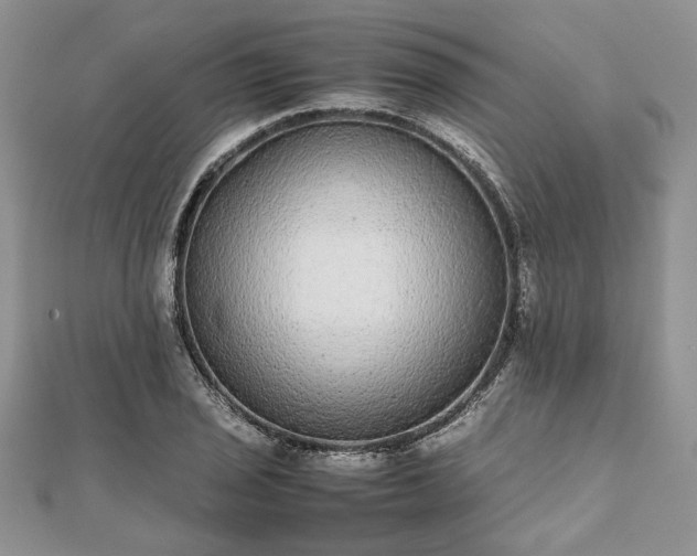 X0000111841029200907301046