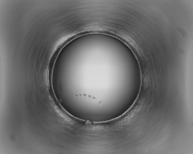 X0000111841030200907301046