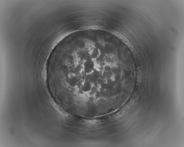 X0000111841031200907301046