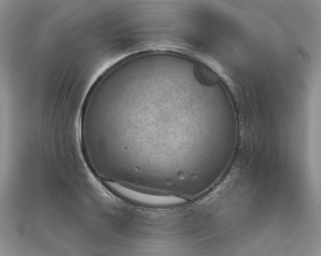 X0000111841032200907301046