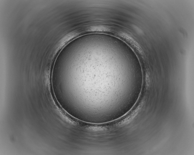 X0000111841033200907301046