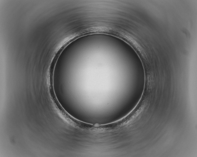 X0000111841034200907301046