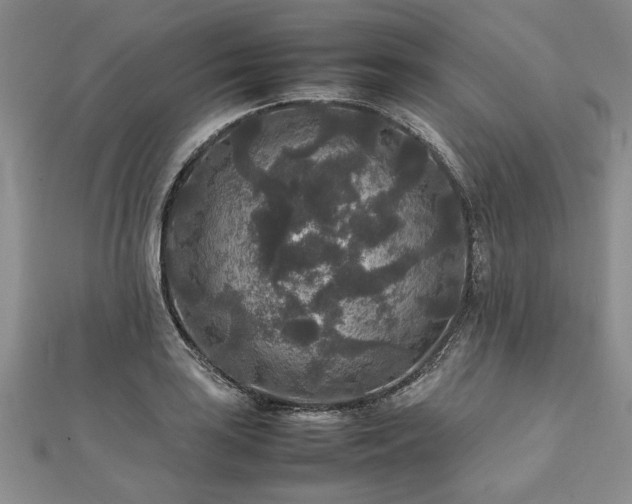 X0000111841035200907301046