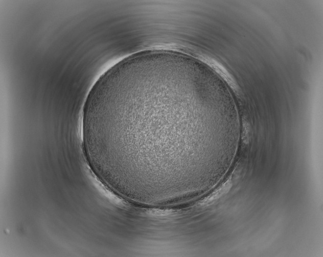 X0000111841036200907301046