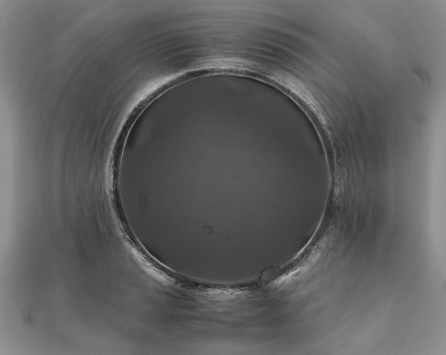 X0000111841037200907301046