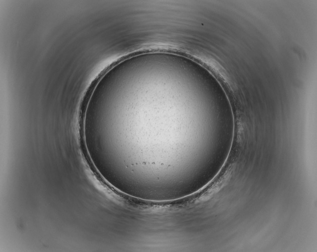 X0000111841038200907301046