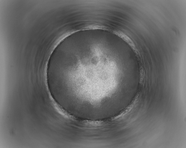 X0000111841039200907301046