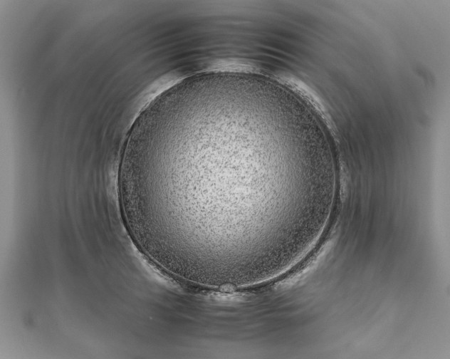 X0000111841041200907301046