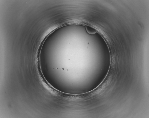 X0000111841042200907301046