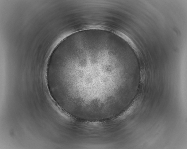 X0000111841043200907301046