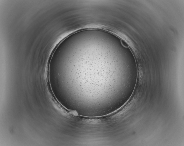 X0000111841044200907301046