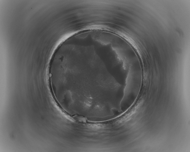 X0000111841045200907301046