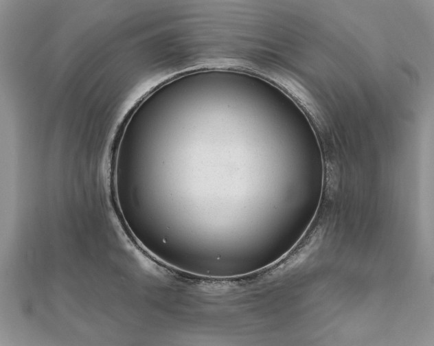 X0000111841046200907301046