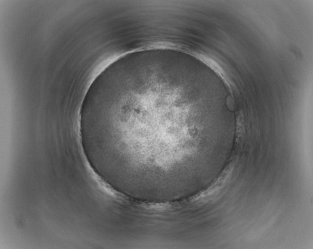 X0000111841047200907301046