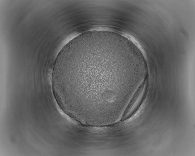 X0000111841049200907301046