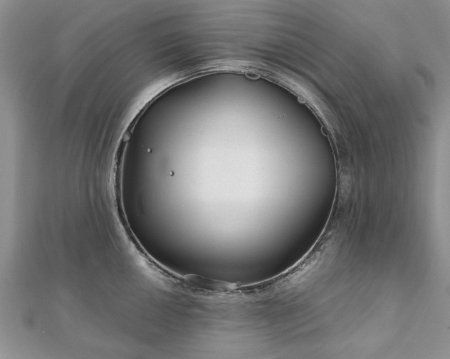 X0000111841050200907301046