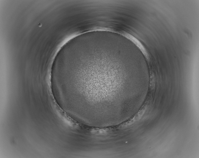 X0000111841051200907301046