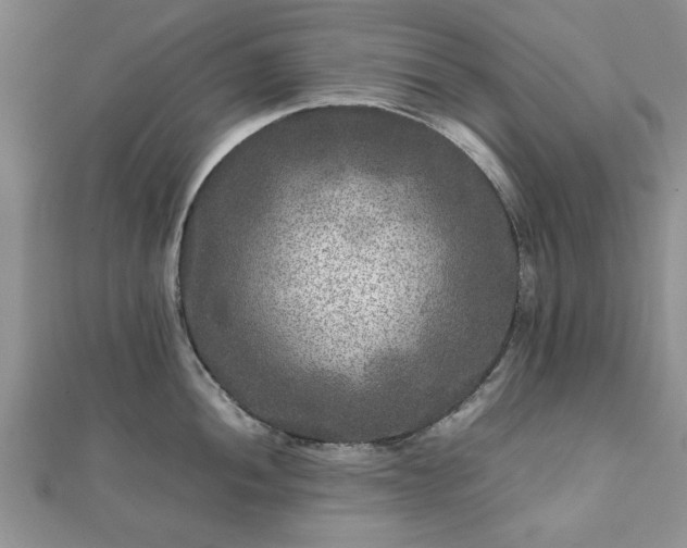 X0000111841052200907301046