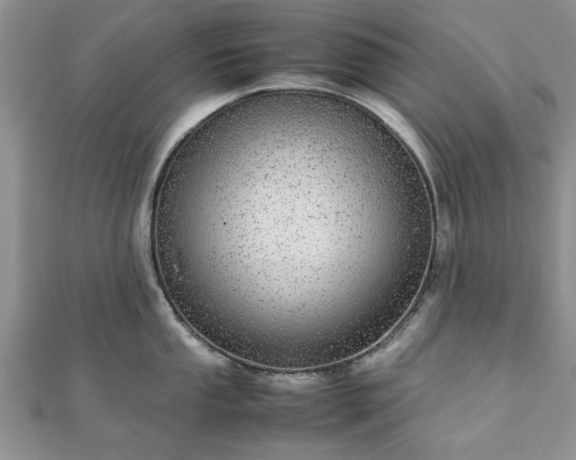 X0000111841053200907301046