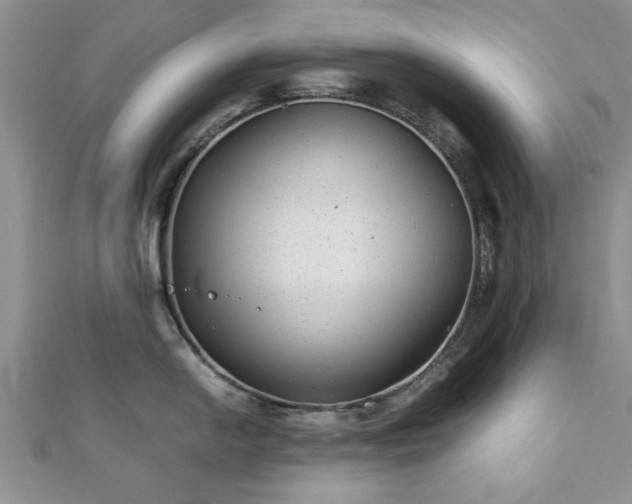 X0000111841054200907301046