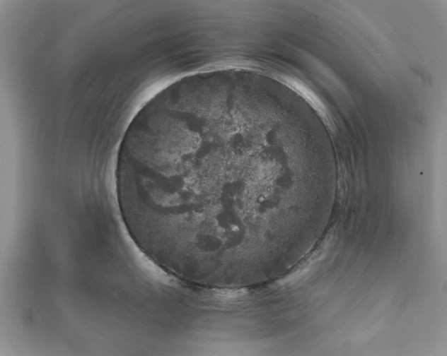 X0000111841055200907301046