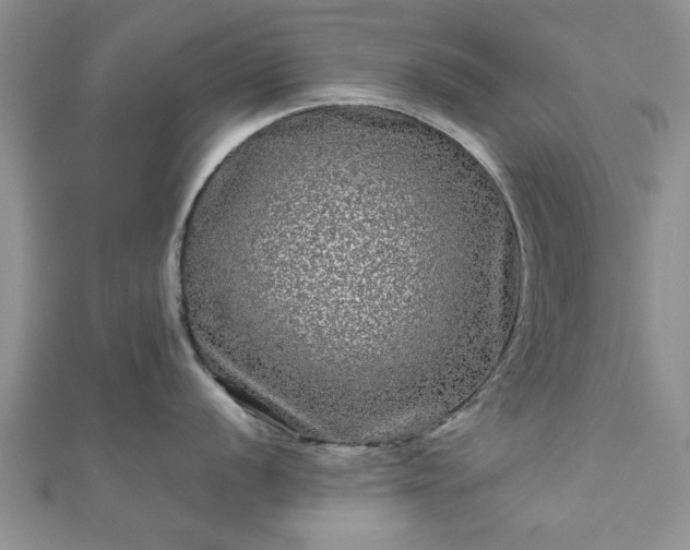 X0000111841056200907301046