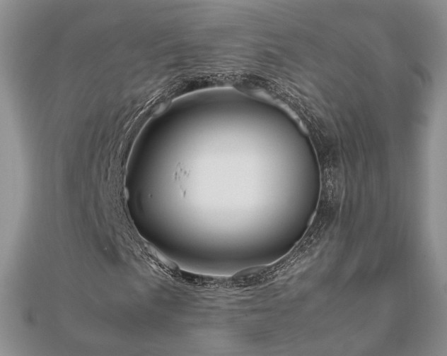 X0000111841057200907301045