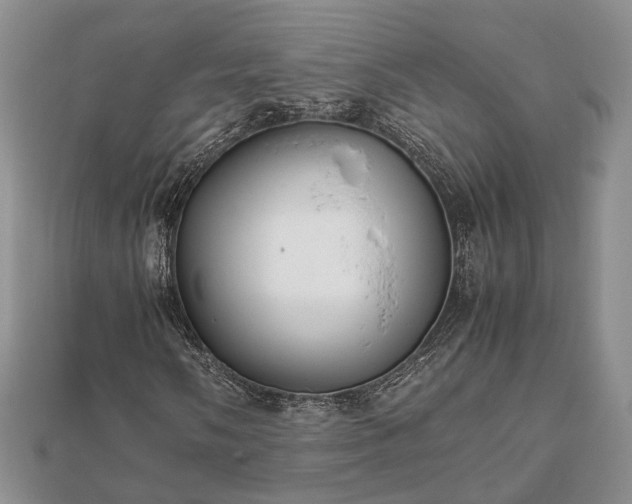 X0000111841058200907301045