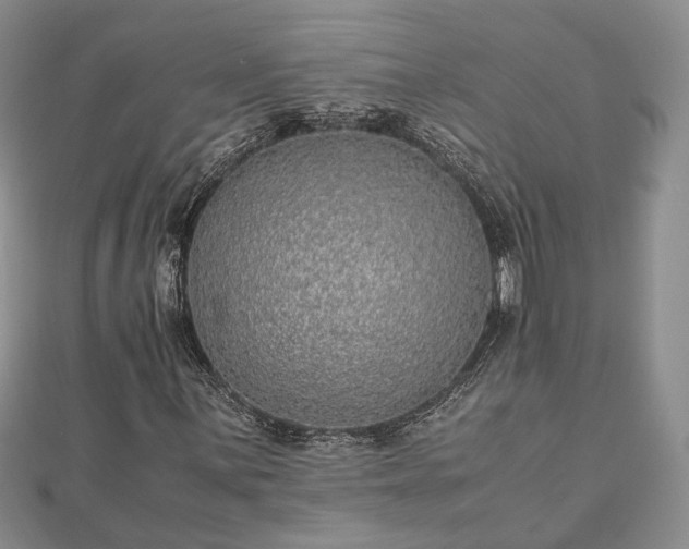 X0000111841059200907301045