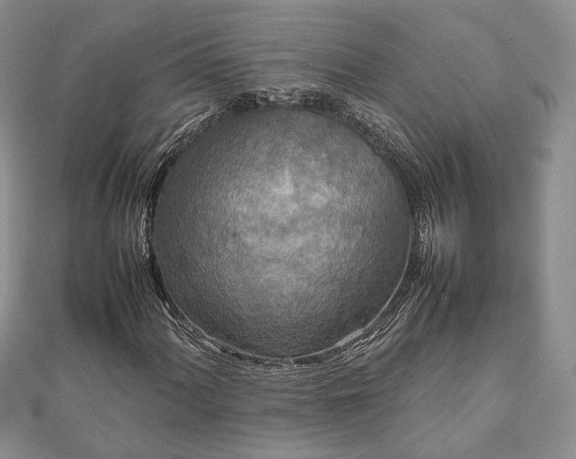 X0000111841060200907301045