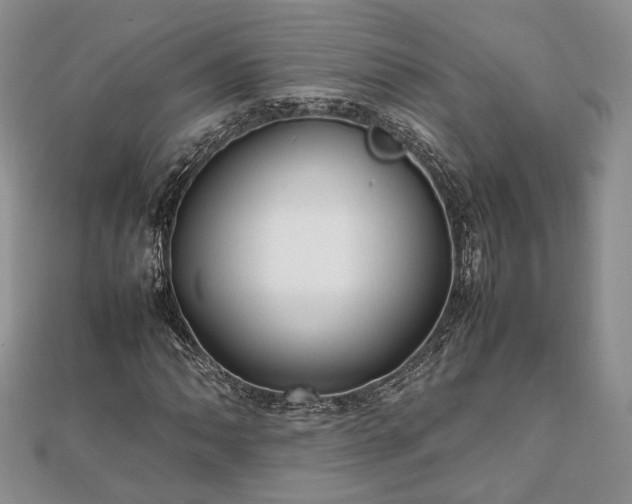 X0000111841062200907301045