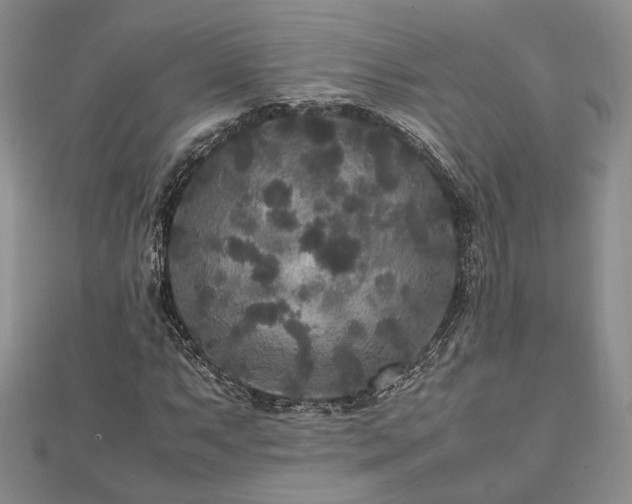 X0000111841063200907301045