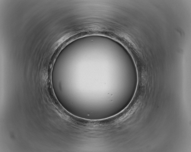 X0000111841065200907301045