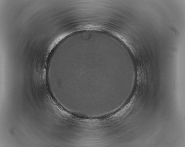 X0000111841066200907301045