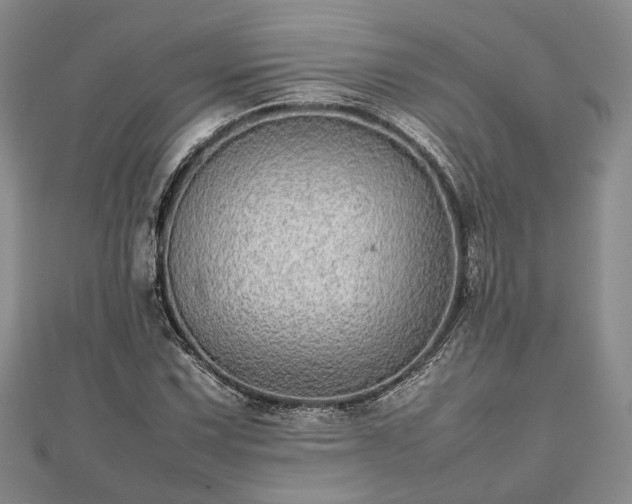 X0000111841067200907301045