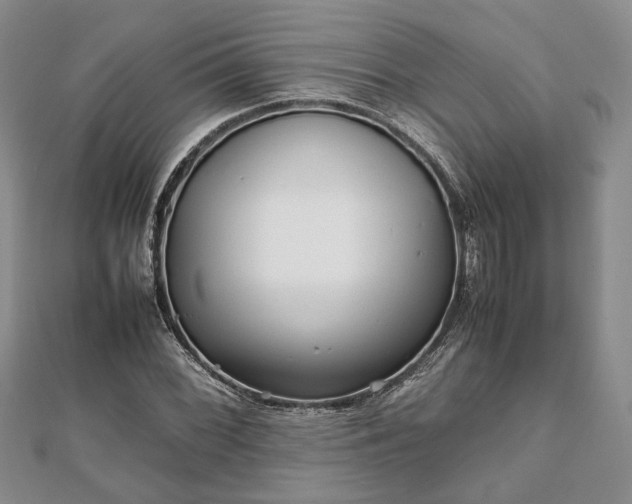 X0000111841068200907301045