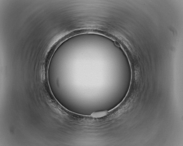 X0000111841069200907301045