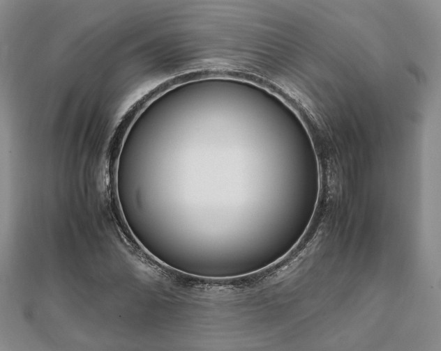 X0000111841070200907301045