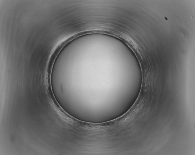 X0000111841072200907301045