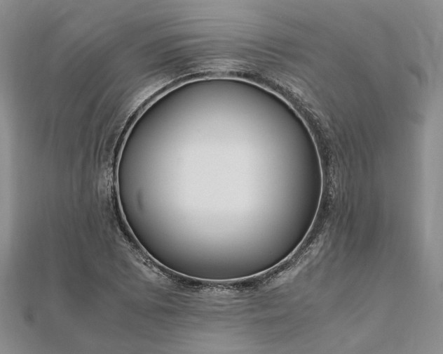 X0000111841073200907301045