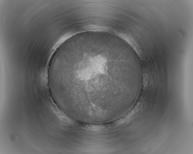 X0000111841074200907301045