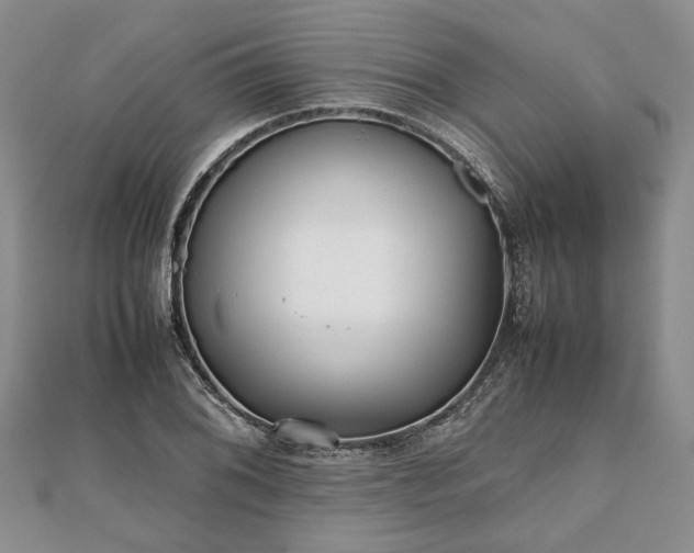 X0000111841076200907301045