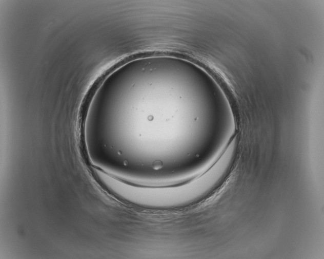 X0000111841077200907301045