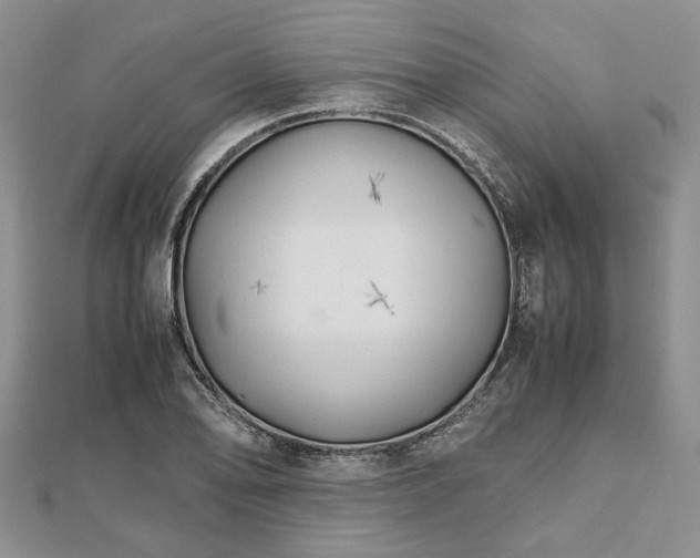 X0000111841078200907301045