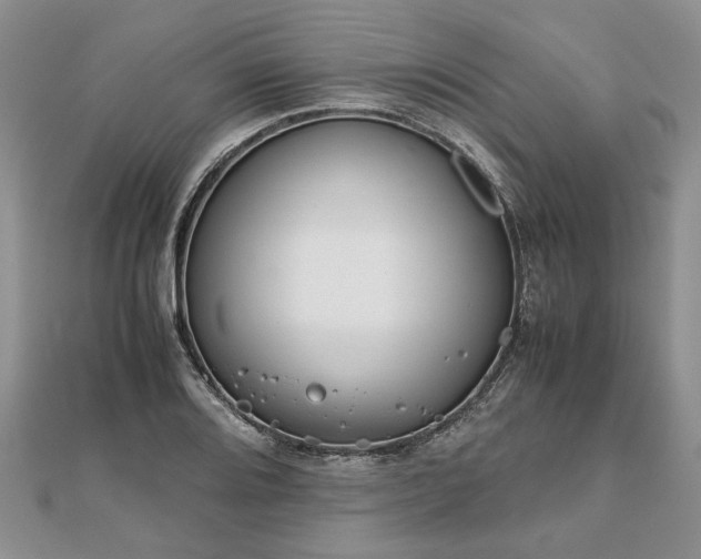 X0000111841080200907301045