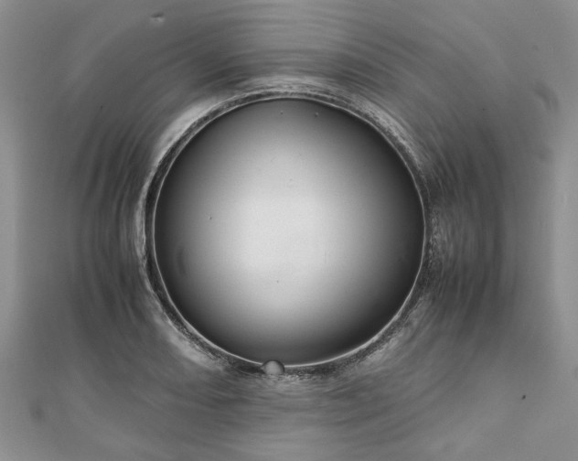 X0000111841082200907301045