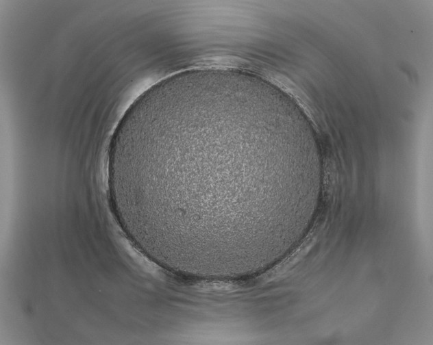 X0000111841083200907301045