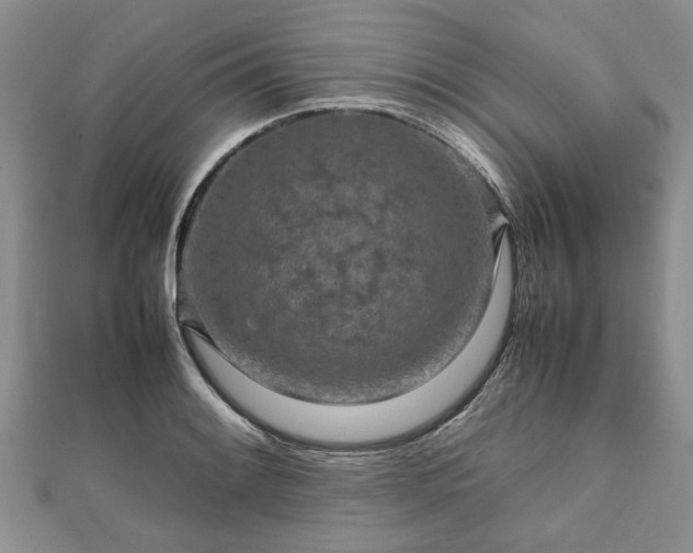 X0000111841084200907301045