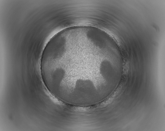 X0000111841086200907301045