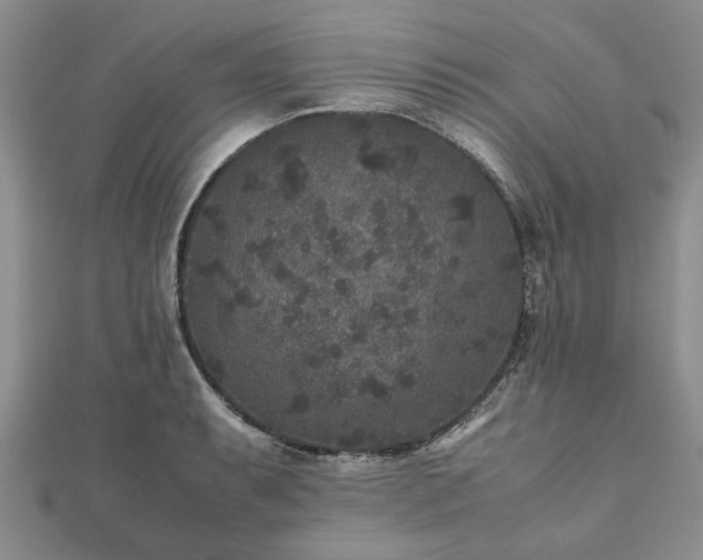 X0000111841087200907301045